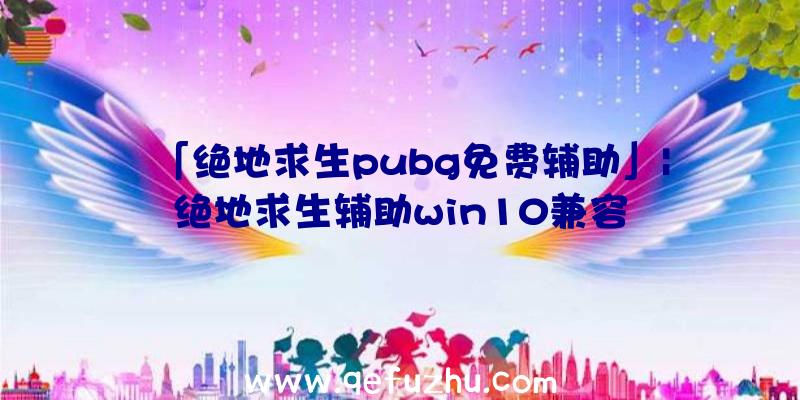 「绝地求生pubg免费辅助」|绝地求生辅助win10兼容